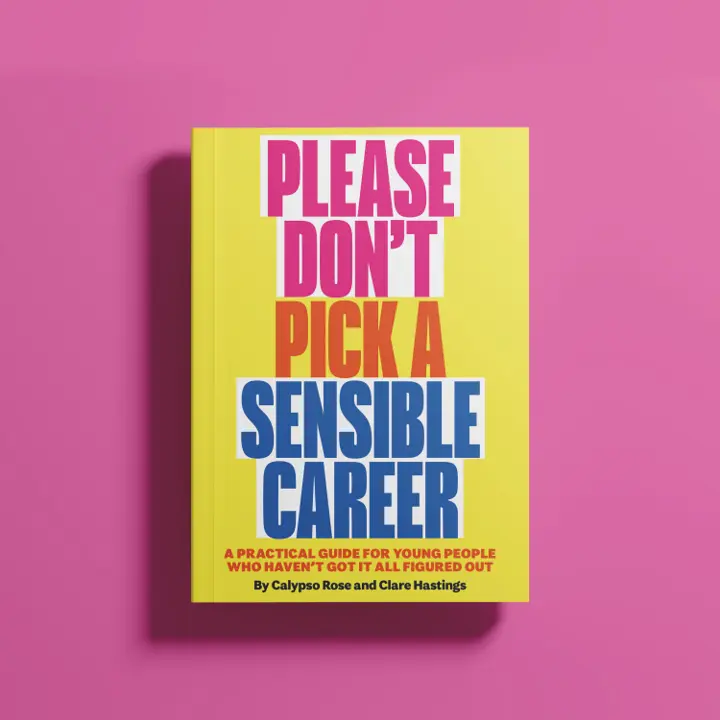 Front cover of the book Please Don't Pick a Sensible Career