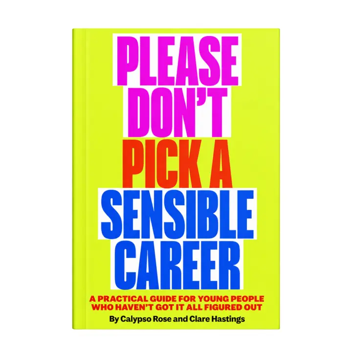 Cut-out 3D pack shot of the book Please Don't Pick a Sensible Career