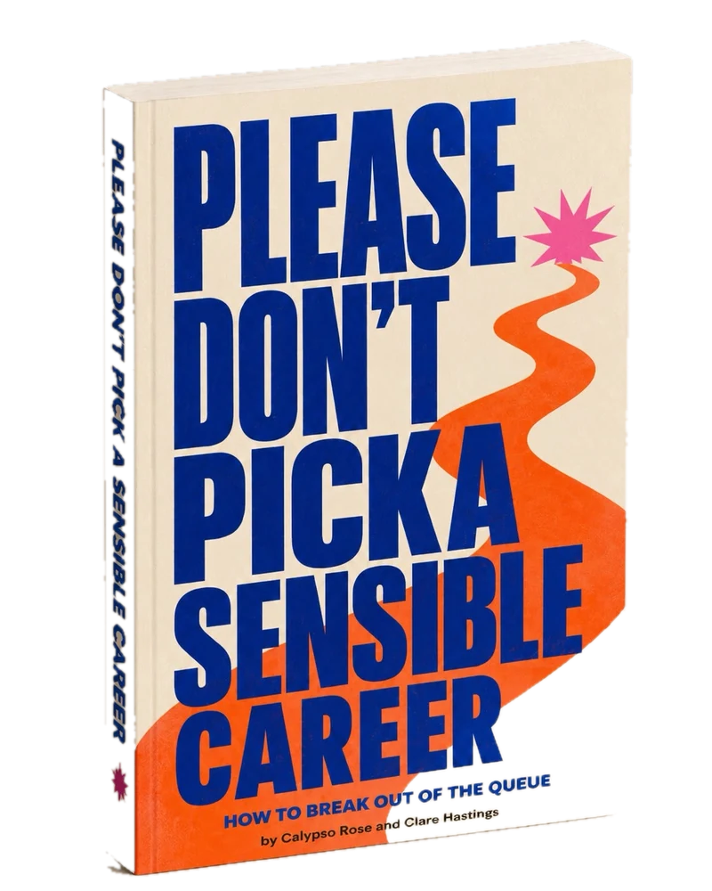 Please Don't Pick a Sensible Career book cover: giant blue letters on cream, an orange path winding to a pink burst